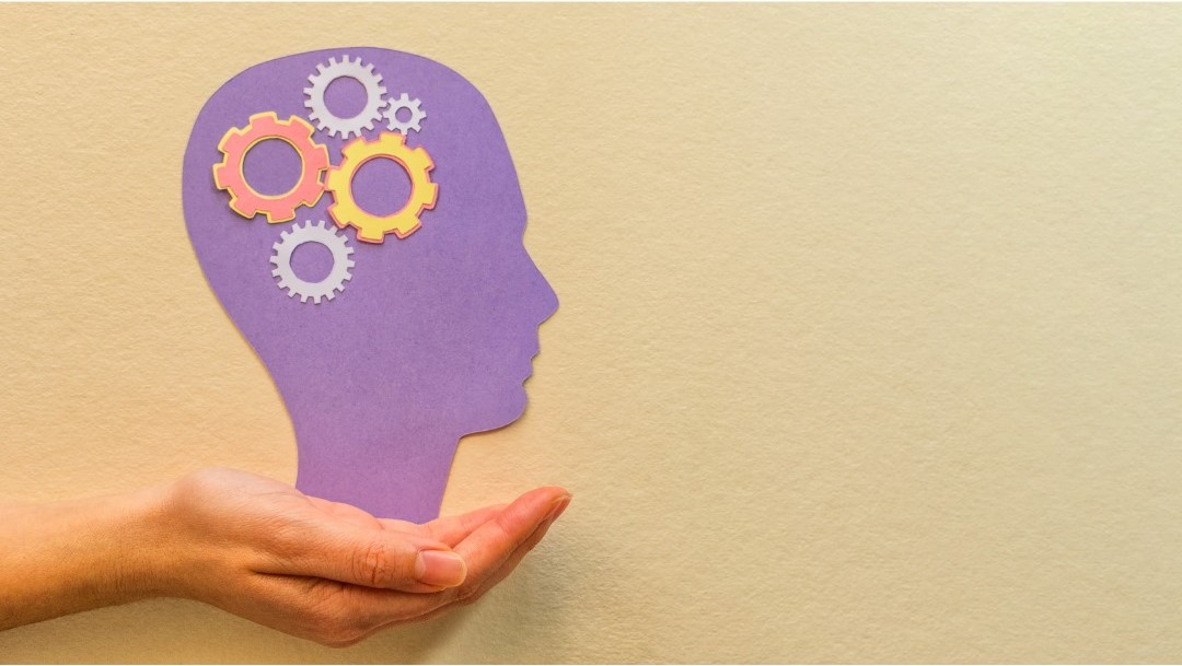 NLP Meta-Programs: The In-Built Human Software Used To Create Your Experiences