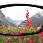 Looking through corrective eyeglasses lenses at nature
