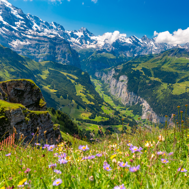 Valley4