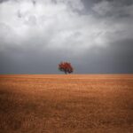 Impactful Questions With NLP (1/10) – Unlock Resources In Clients