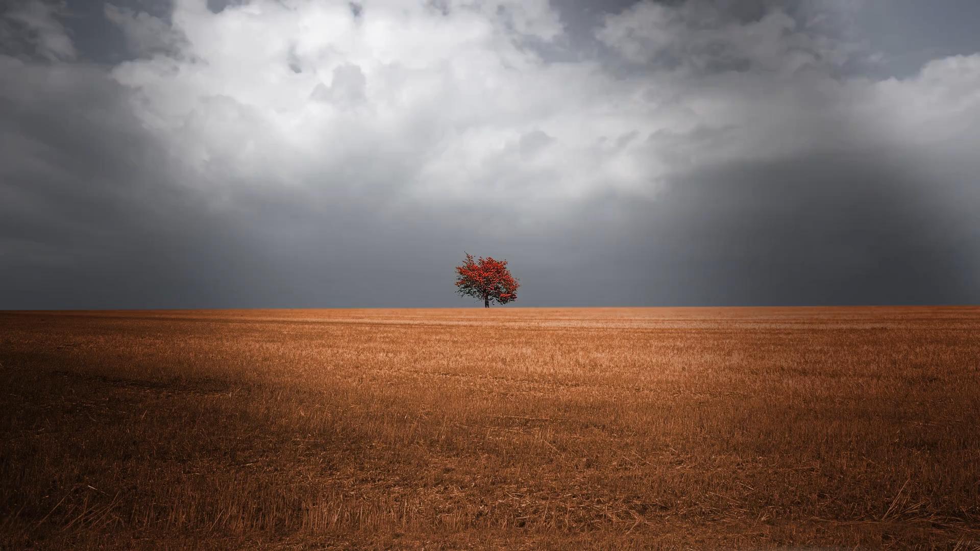 Impactful Questions With NLP (1/10) – Unlock Resources In Clients